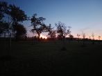 6813c0feb7172.jpg