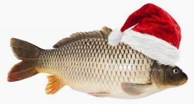 Vánoční prodej ryb v Hrotovicích