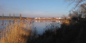 Radkovice