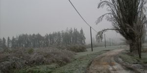 Radkovice